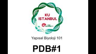 Yapısal Biyoloji 101| Protein Veri Bankası (PDB)#1