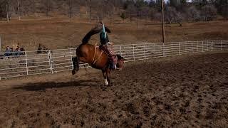 Slow Motion Bronc Rides - Colby George on Juicy