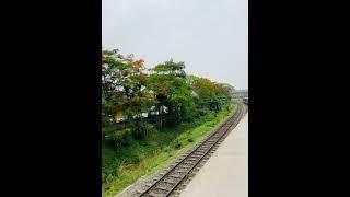 #nature #train #foryou #viralvideo