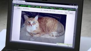 How to remain calm, despite what's about to happen to your Chrome notebook