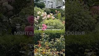Из чего состоит ментальное здоровье? #здоровье #йогa #саморазвитие #красотаиздоровье #медитация