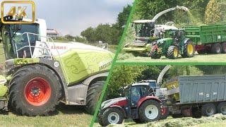 [4K] Grasernte 2023 Häckseln & Silieren 2. Schnitt / Claas Jaguar 40000 / John Deere / Steyr