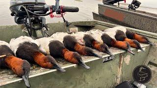 2 HOURS of INSANE Canvasback Hunting in Louisiana Marshes!