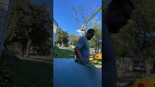 Tree Removal Timelapse #siouxcitytreeco #treeservice #SiouxCity #treetrimming #trees  #treeremoval