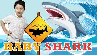 BABY SHARK Song  بيبي شارك