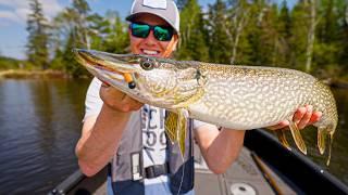 The FIVE Lure Challenge