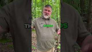 Bush Butter: Get Wild!  Wood & More! 