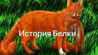 История Белки(по просьбе Милены)/Коты-воители