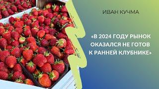 Иван Кучма: «В 2024 году рынок оказался не готов к ранней клубнике»