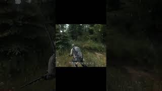 DayZ St. 158 Server:Tiger