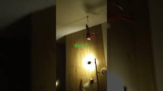 Day 11 Jolly Scout Swinging?