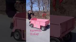 Remote control Tro / Electric 4-wheel Trolley/ AUTOMATIC Trolley/  Agricultural Trolley #viralvideo