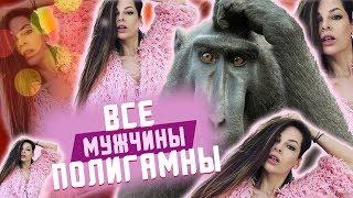 Все ли мужчины полигамны? (В постели с Красновой)