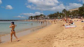 BEACH WALKING TOUR Playa el Camison in Tenerife, Spain 4K