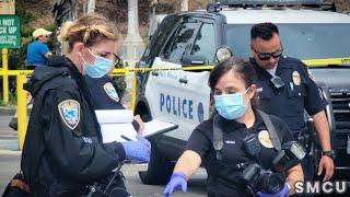 Fatal Stabbing at Santa Monica Beach: Suspect Arrested, Charged with Murder