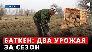 Баткен: два урожая за сезон