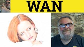  Wan - Wan Meaning - Wan Examples - Wan Pronunciation - WAN Definition - Describing People