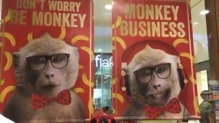 9 ways to get you ready for the Monkey year