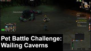 Pet Battle Challenge: Wailing Caverns