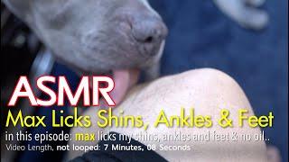 Max Licks | Shins & Ankles | ASMR DOG LICKING | No Talking