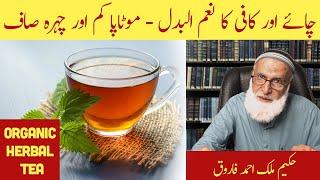 Organic Herbal TEA Recipe | Fat loss & Skin Whitening | Hakeem Malik Ahmad Farooq