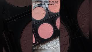 PAT MCGRATH SKIN FETISH DIVINE BLUSHES #makeup #patmcgrath #blush #swatches #shorts #motd #look