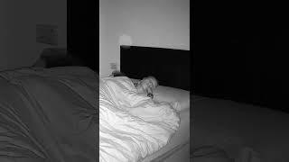 Voices and shadows of the night. #orbs #paranormal #ghost #poltergeist #scary #creepy