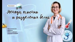 Методы очистки и разделения белка