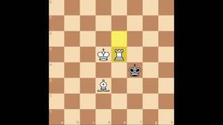 How to Checkmate With King & Rook (& Bishop)