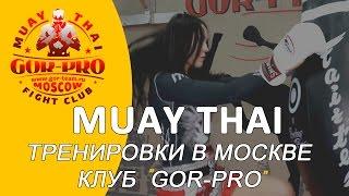 Тайский бокс в москве. клуб GOR PRO