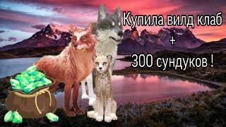 КУПИЛА WILD CLUB + ОТКРЫВАЕМ 300 СУНДУКОВ