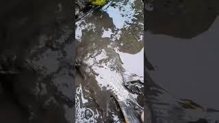 ikan mati#shotrs