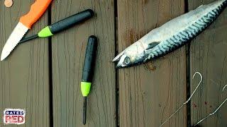 Bring Dead Fish Back to Life With the Zombait