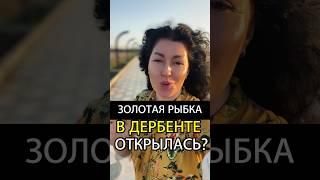 САМЫЙ НАШУМЕВШИЙ РЕСТОРАН ДАГЕСТАНА #рыбка #дербент #коса #дагестан #туры +7926 84 55448 #каспий