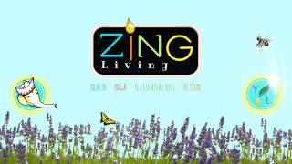 Welcome to Zing Living