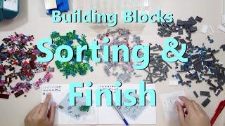 Building Blocks Set Sorting  & Finish