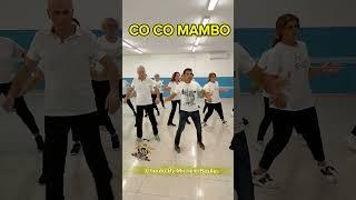 CO CO MAMBO /Choreo By Michele Basile #shorts #dance #shortvideo  #video #socialdance #dance