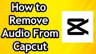 How to Delete or Remove Audio from a Video on CapCut In 2024