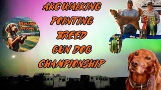 AKC Walking Pointing Breed Gun Dog Championship