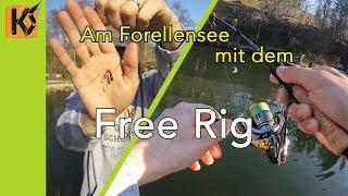 Free Rig am Forellensee - Forellenangeln am Forellensee - der Test mit diversen Ködern - Angeln