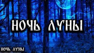 НОЧЬ ЛУНЫ! Страшные Истории На Ночь