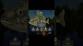 РР4 / Оз. Комариное - Трофейный Ёрш #shorts #рр4 #русскаярыбалка4 #рр4комариное