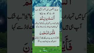 Allah u Akbar Plz Come back To Allah #islam #islamic #islamicvideo#viral#viralvideo#quotes#hijab