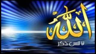 Xolislik sari холислик сари