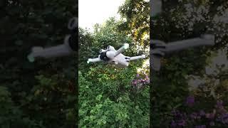 DJI MINI 3 PRO  Маленький летун 