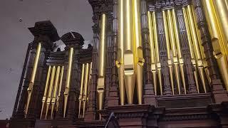 Eddie Davenport at the Tabernacle Pipe Organ