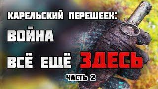 ПОЧЕМУ ФИННЫ РАЗБРОСАЛИ ПО ЛЕСУ ШТЫКИ?/Раскопки Второй Мировой войны