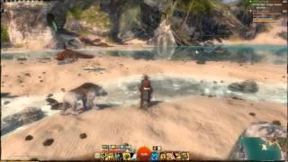GW2 Ranger Pet Locations - Reef Drake