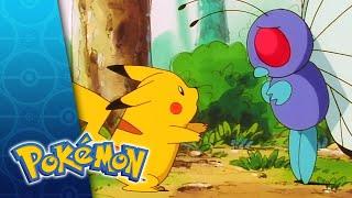 Bye-Bye Butterfree | POKÉMON FULL EPISODE 20 | Season 1