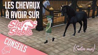 Les chevaux à avoir sur Star Stable - SSO